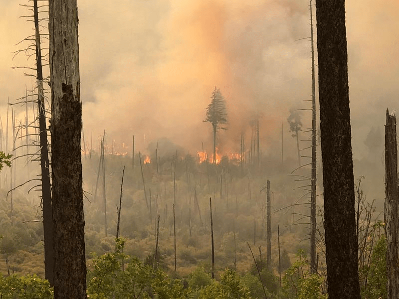 fires in Oregon