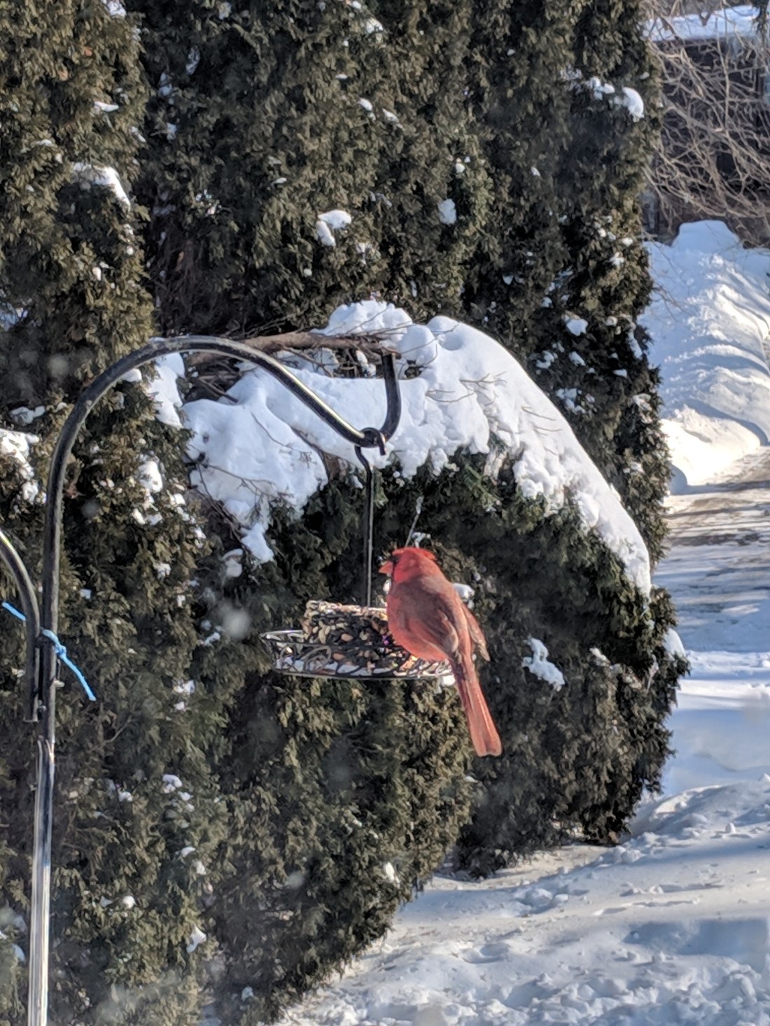 img_20190130_101712 (1)