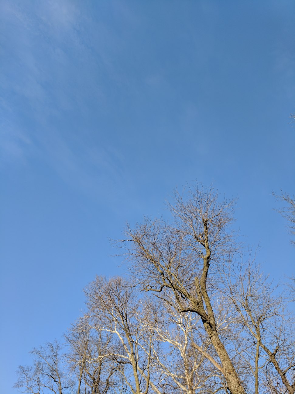 IMG_20190222_161621_1