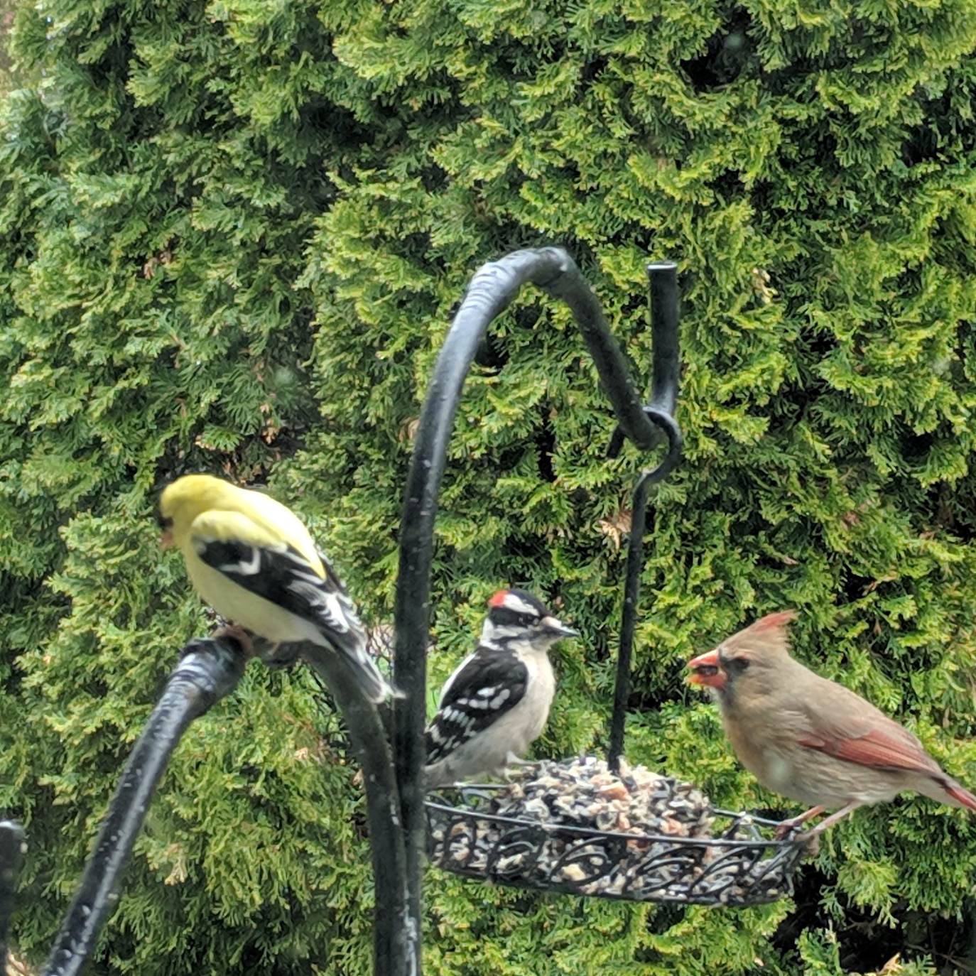 IMG_20190501_185805_233