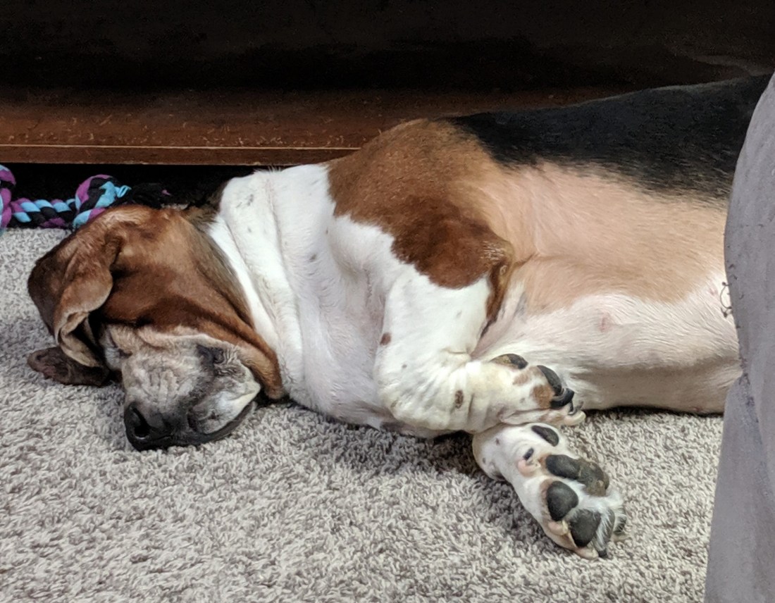 IMG_20190519_205140 (2)