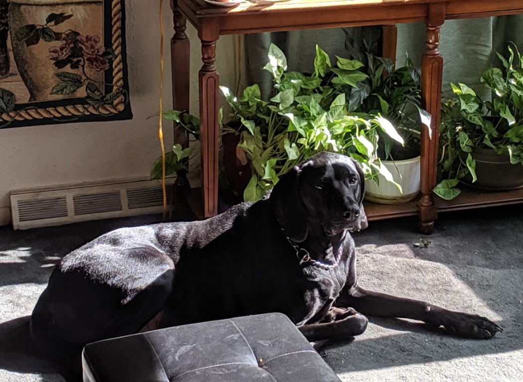 IMG_20190523_090243_1 (2).jpg