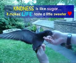 kindness2