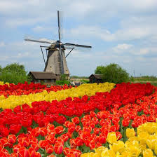 dutch windmill