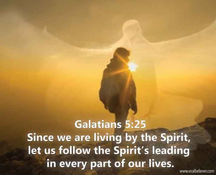Gal 5 25