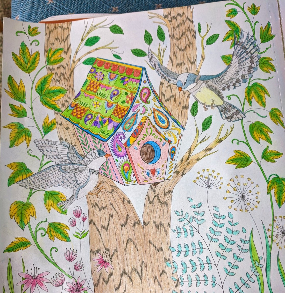 IMG_20200506_154307_1