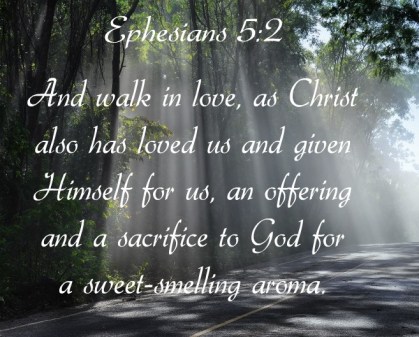Ephesians 5 v 2