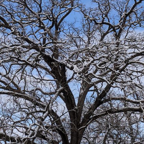 IMG_20200104_111354_814