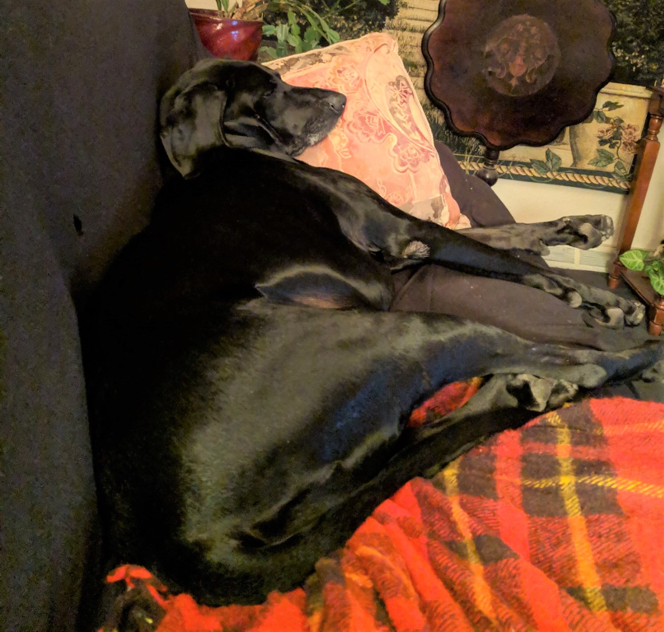 IMG_20190329_210919 (2)