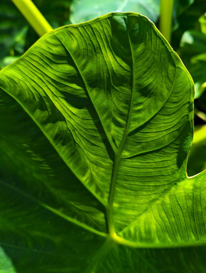 Sunday Texture Sunday Stills, The Power of Textures – For the Love of